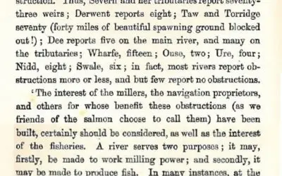 River vs fish power – an ancient argument!
